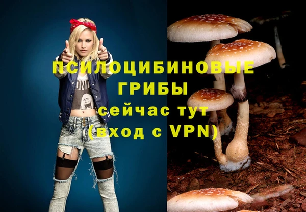 таблы Алексин