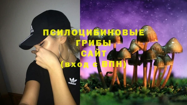бошки Абинск