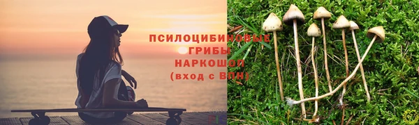 таблы Алексин